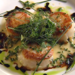 Seared Scallops and Herb Salad