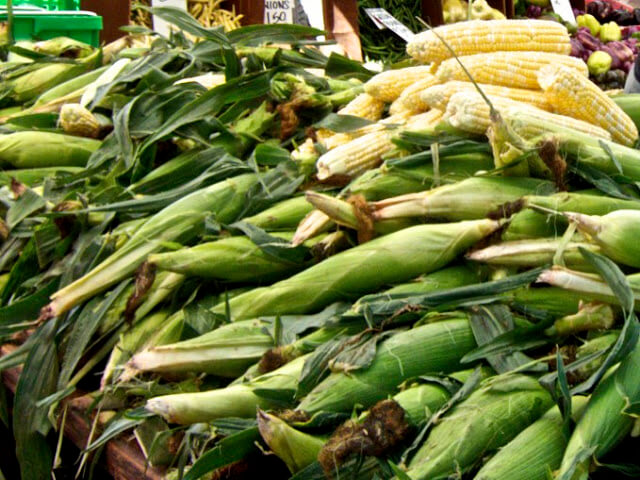 Latin Flavors Spice Up Our Love of Corn – David Latt