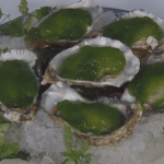 Oysters in Cucumber Jelly with Red Wine Vinegar
